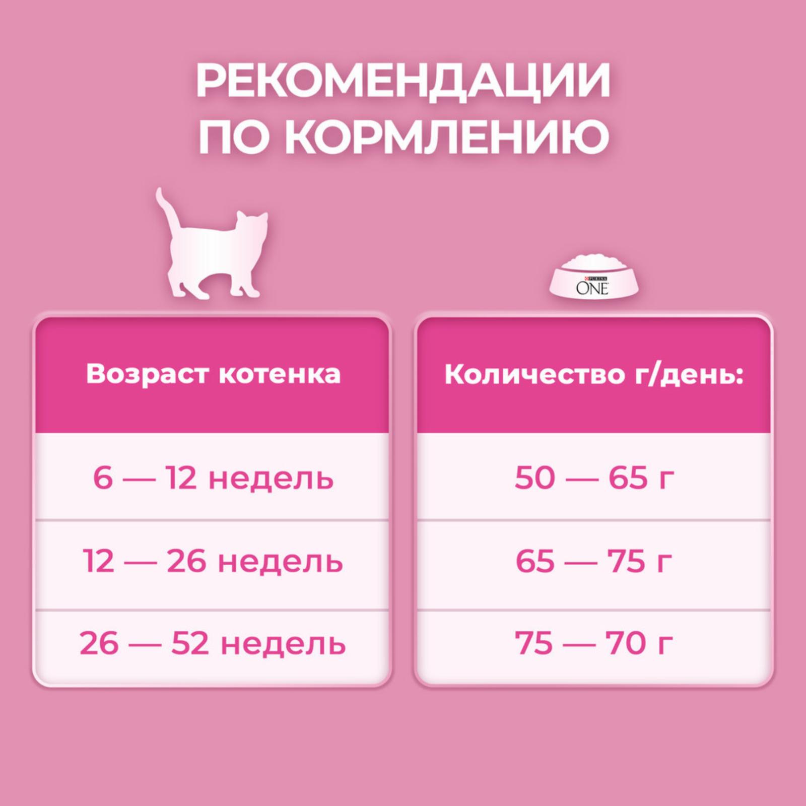 Purina ONE Сухой корм для котят с курицей и злаками 123531371239749812562645 0.200 кг 37488