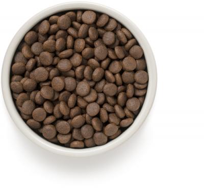 One & Only корм для взрослых собак всех пород, индейка с рисом 12 кг