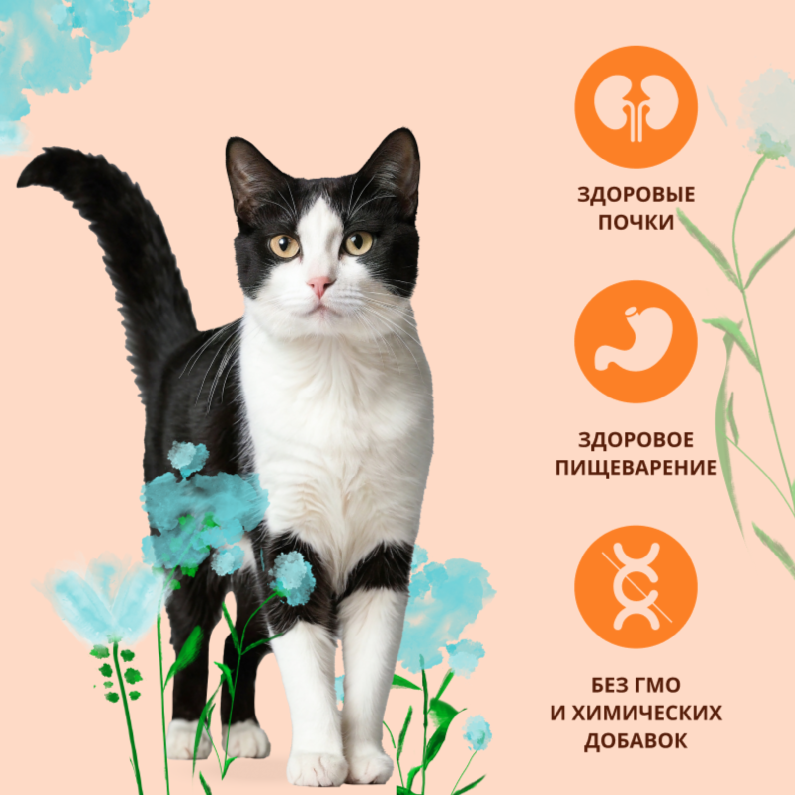 Almo Nature Полнорационный сухой корм для взрослых кошек со свежей курицей для профилактики мочекаменной болезни Urinary Help Fresh Chiсken 2,000 кг 66988, 66988, 4500100637