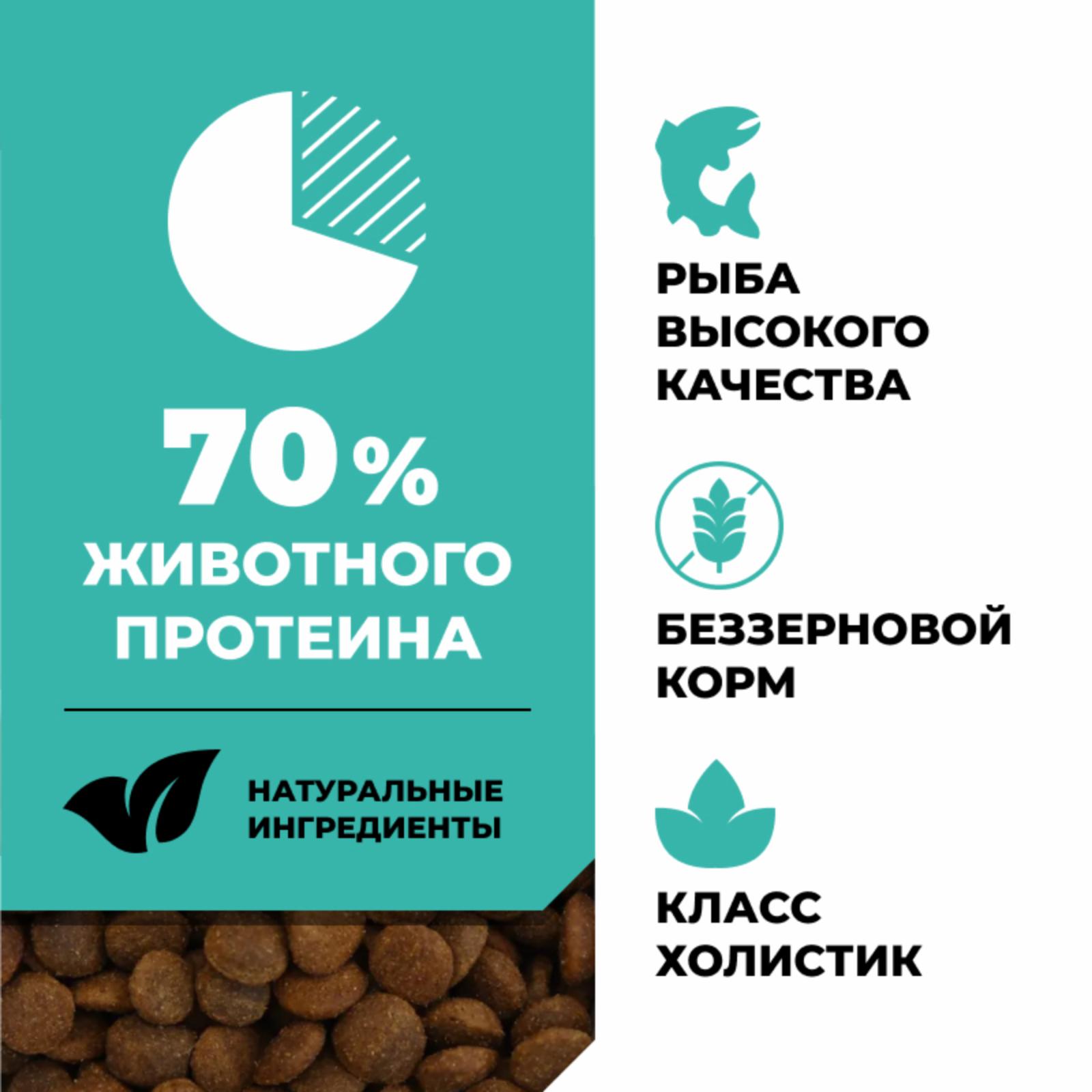 GOKITCHEN Беззерновой для котят и кошек всех возрастов с лососем морской рыбой фруктами и овощами GRAIN FREE Salmon&Seafish 1.360 кг 64669, 4400100675