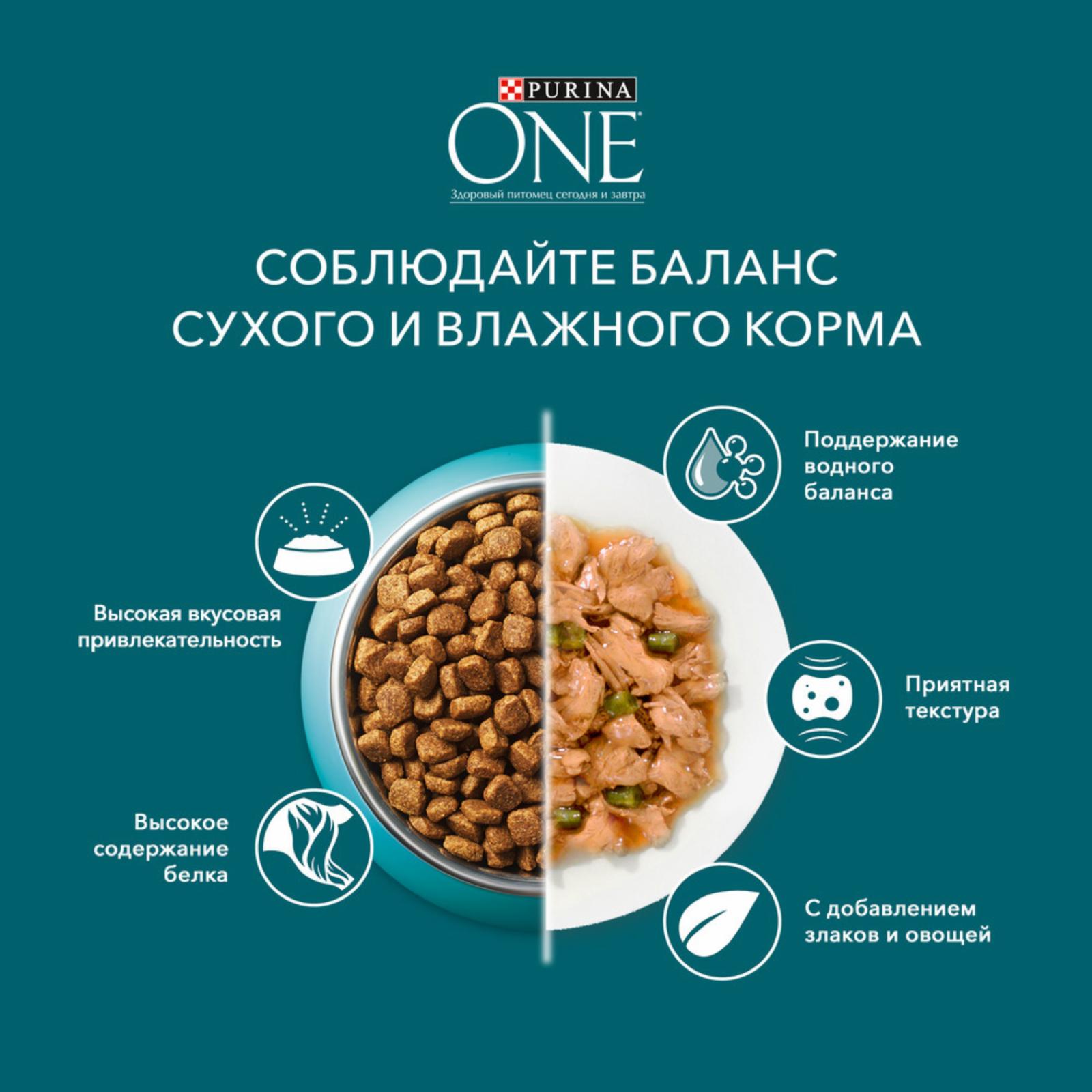 Purina ONE Сухой корм для домашних кошек  с индейкой и злаками 1254037412554888 9.750 кг 63239