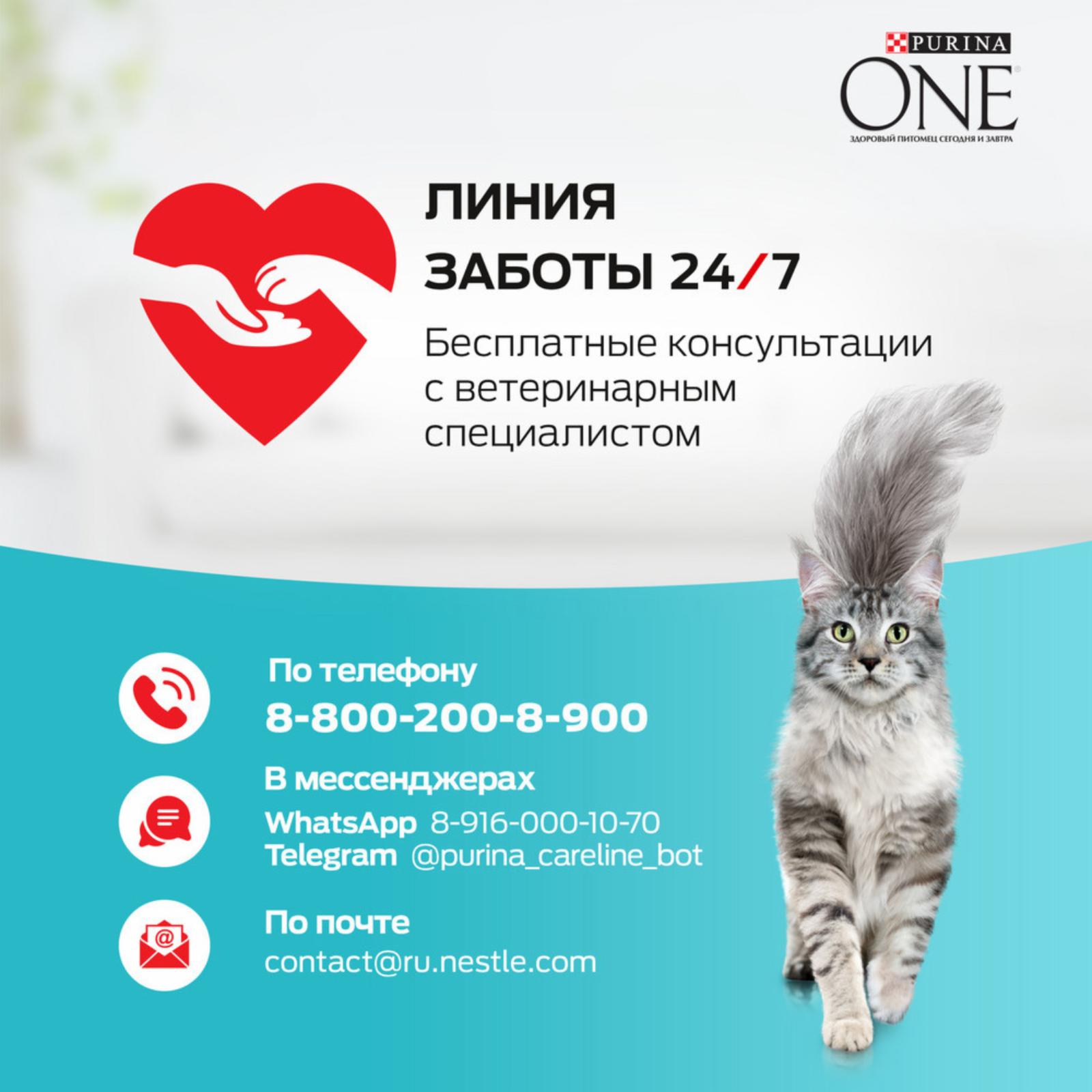 Purina ONE Сухой корм для домашних кошек  с индейкой и злаками 1254037412554888 9.750 кг 63239