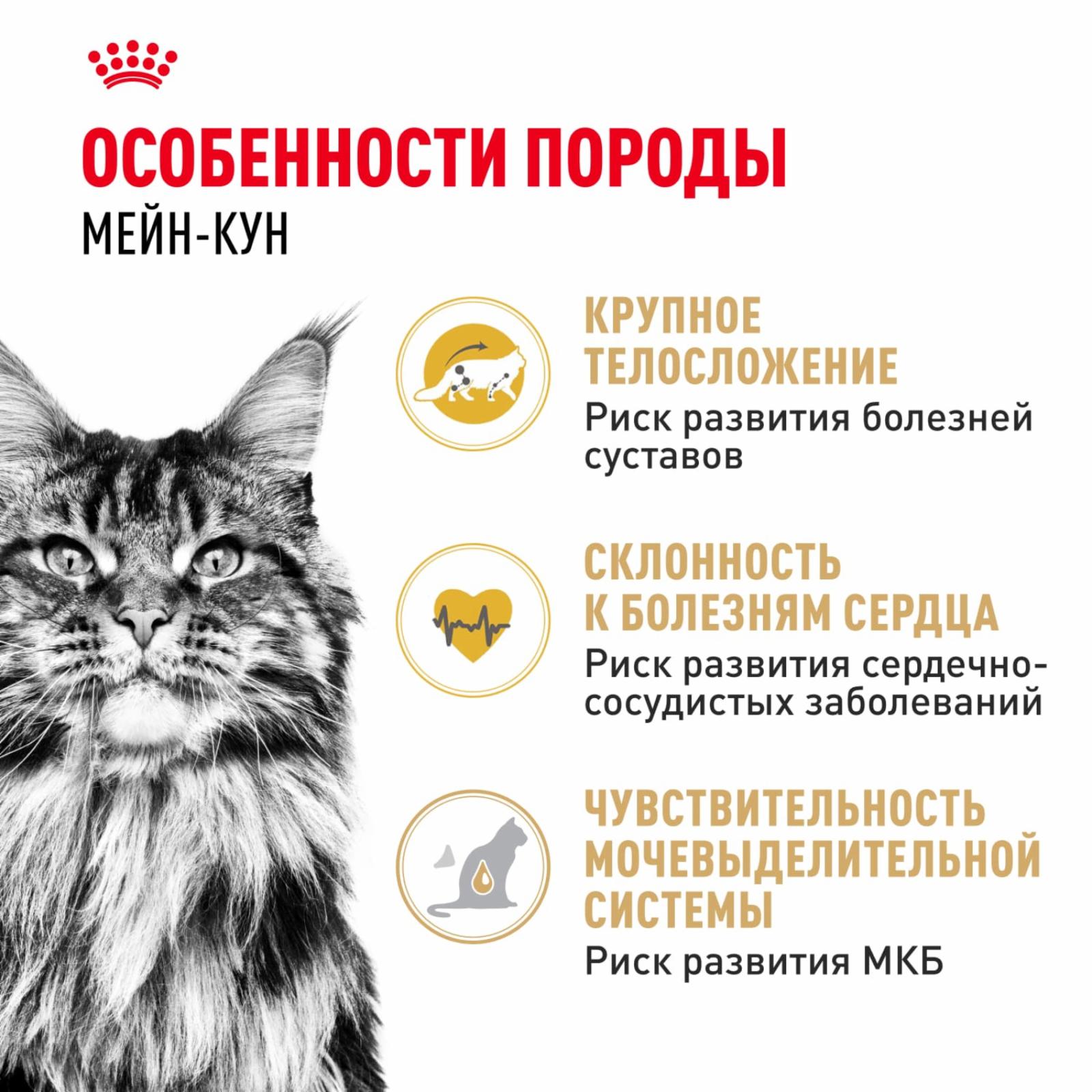 Royal Canin RC Для кошек-мейн-кун 1-10лет (Мaine Coon 31) 25501000R0 10.000 кг 21574
