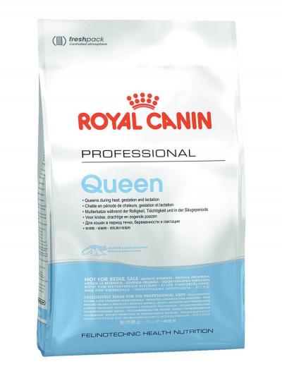 Royal Canin корм для кошек всех пород в период лактации 10 кг