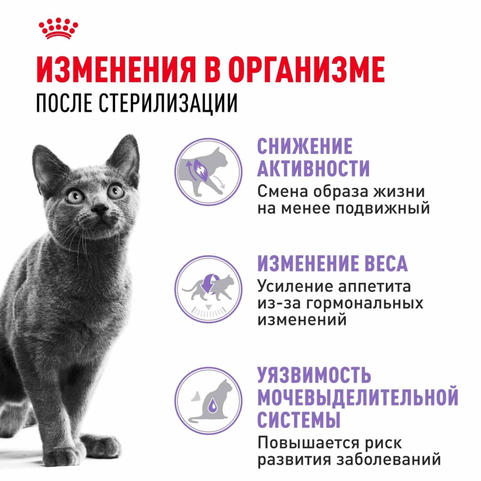Royal Canin RC Для кастрированных кошек и котов: 1-7лет (Sterilized 37) 25370020R0 0.200 кг 58183