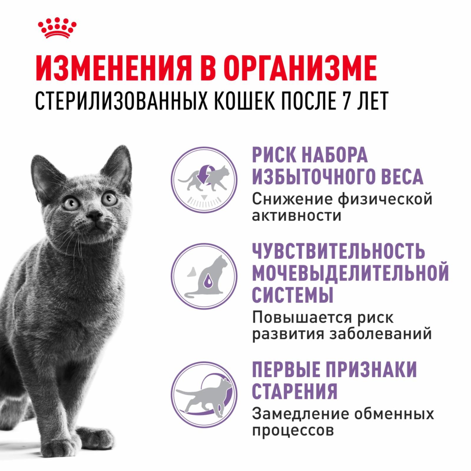 Royal Canin RC Для пожилых кастрированных кошек и котов: 7-12лет (Sterilized+7) 25600350R0 3.500 кг 22367