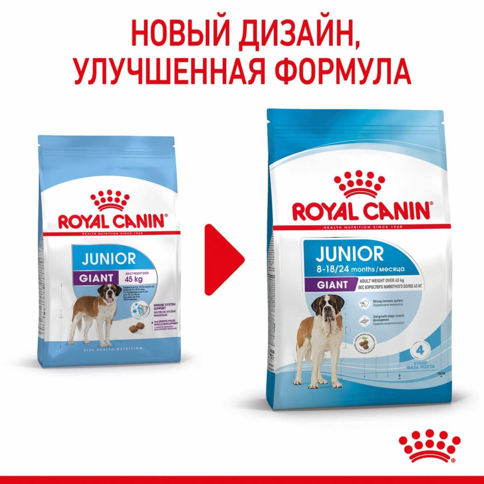 Royal Canin RC Для щенков гигантских пород: 8-1824 мес.  (Giant Junior 31) 30311500R1 15.000 кг 11122, 1700100393