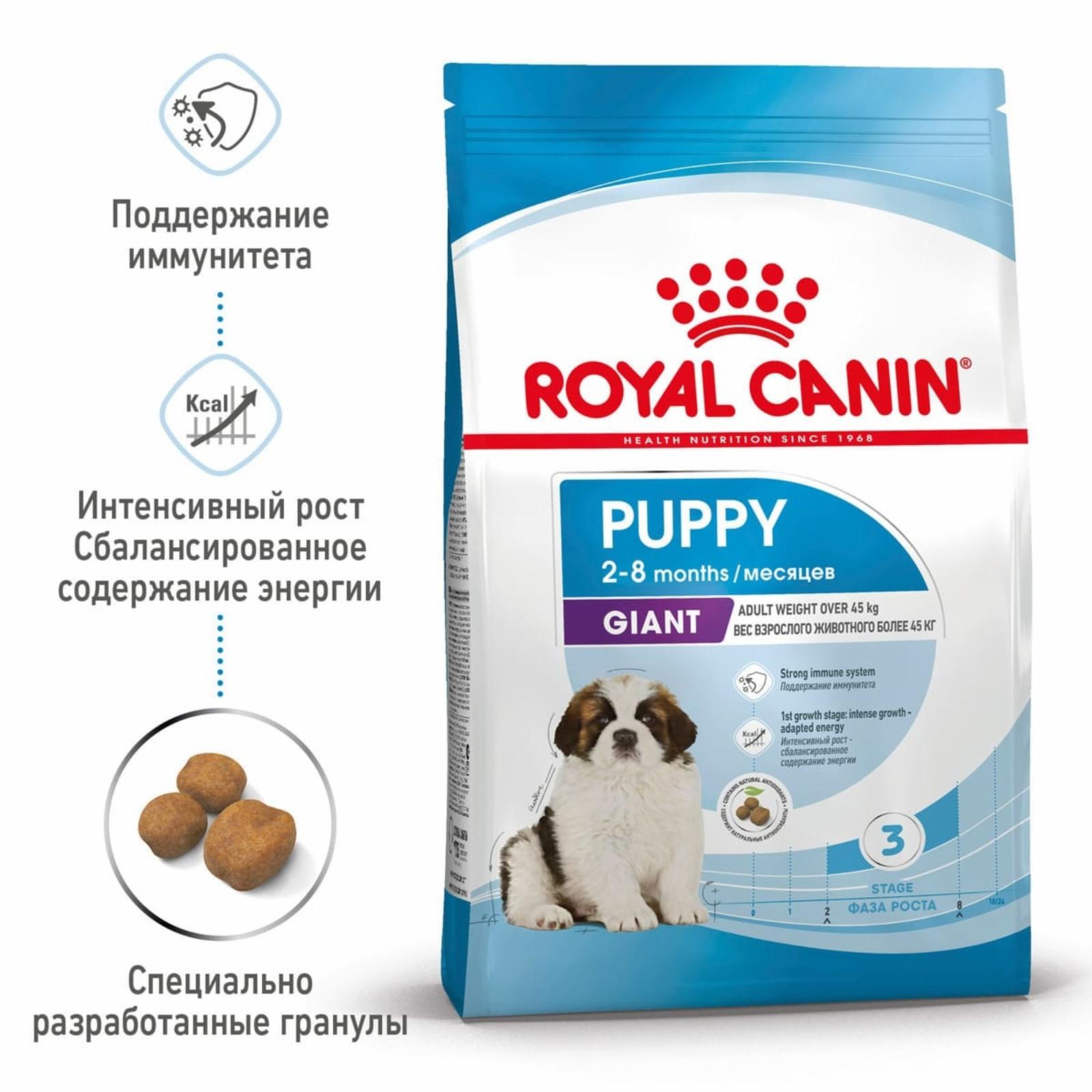 Royal Canin RC Для щенков гигантских пород: 2-8мес. (Giant Puppy 34) 30301500R0 15.000 кг 11120, 1800100393