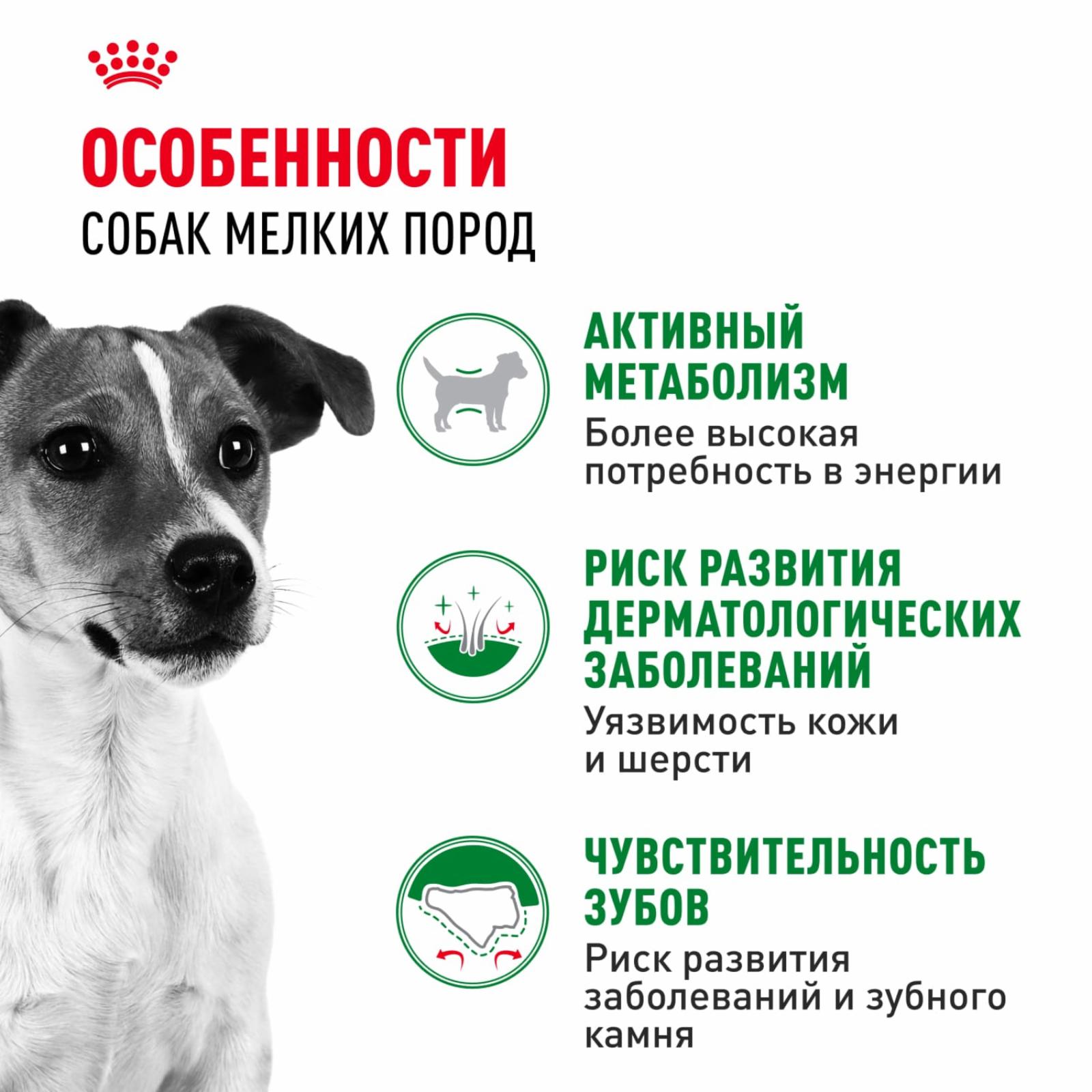 Royal Canin RC Для взрослых собак малых пород (до 10 кг): 10мес.- 8лет (Mini Adult) 30010080R4 0.800 кг 12700