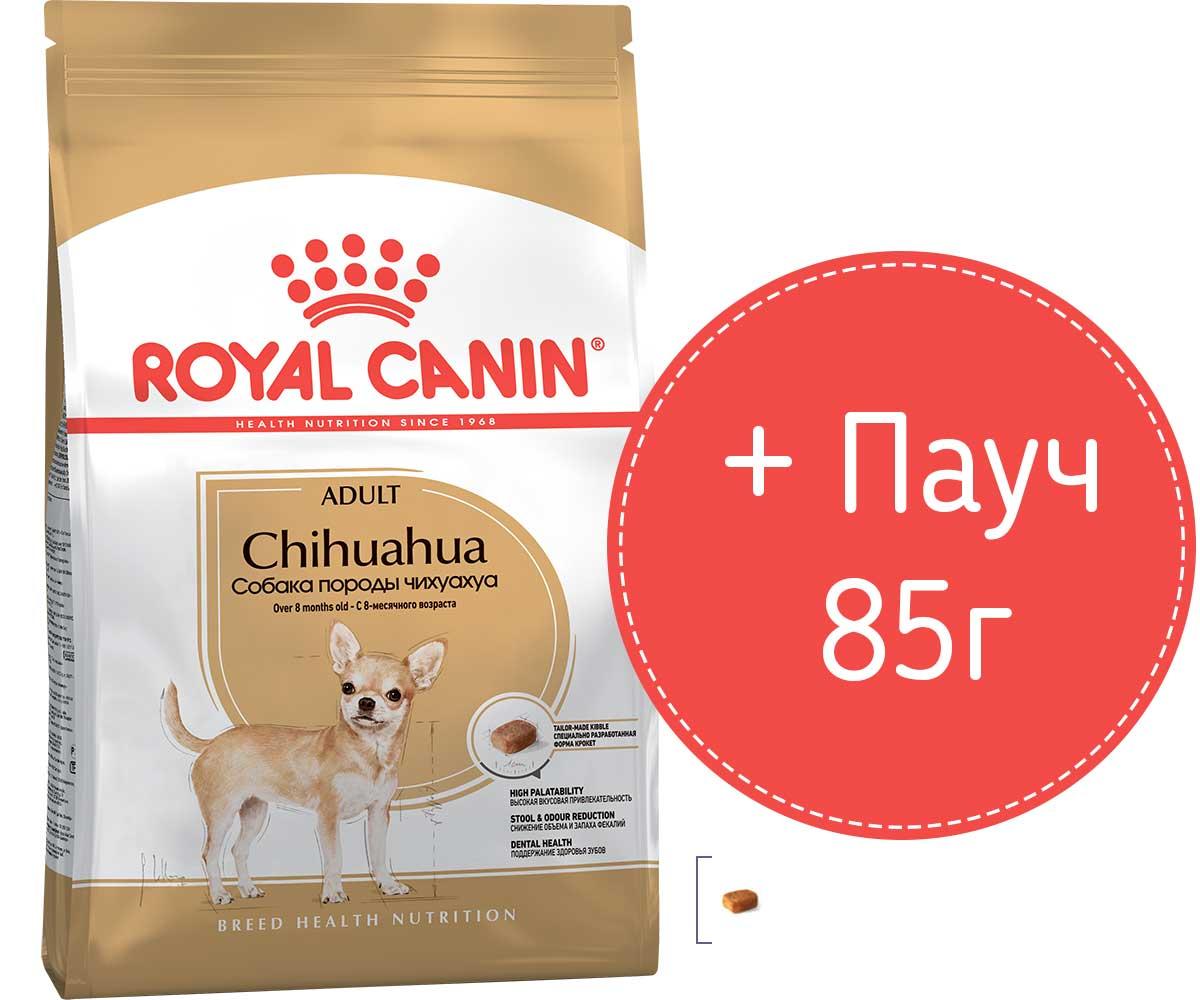 Royal Canin Корм для собак Комплект Чихуахуа 1,5 кг + пауч  