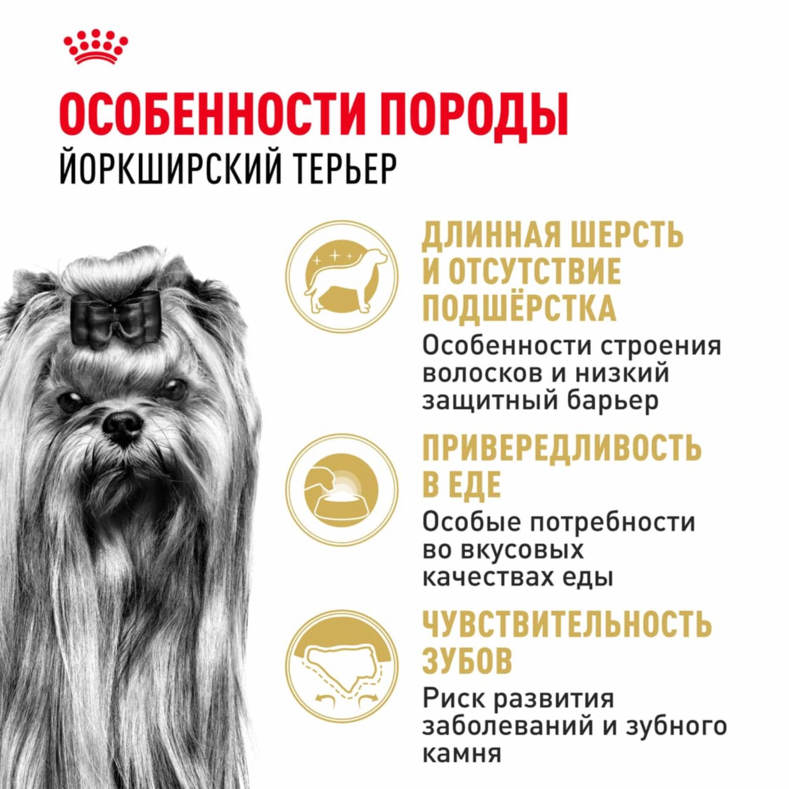 Royal Canin RC Для собак-взрослого Йоркширкого терьера: с 10мес. (Yorkshire Terrier 28) 30510150R0 1.500 кг 11152