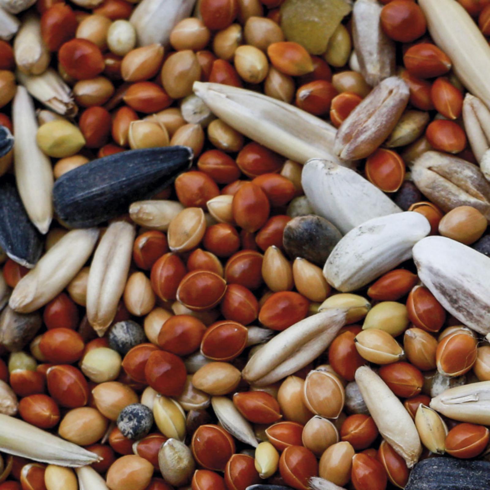 Pets Cafe Корм полнорационный для волнистых попугаев 77014 0,400 кг 60461