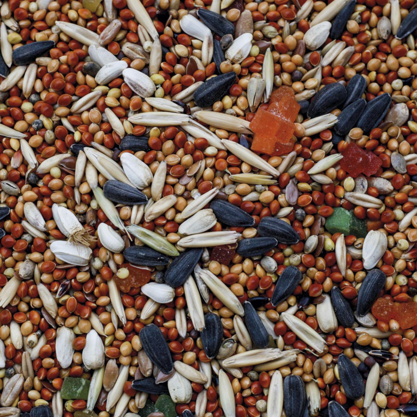 Pets Cafe Корм полнорационный для волнистых попугаев 77014 0,400 кг 60461