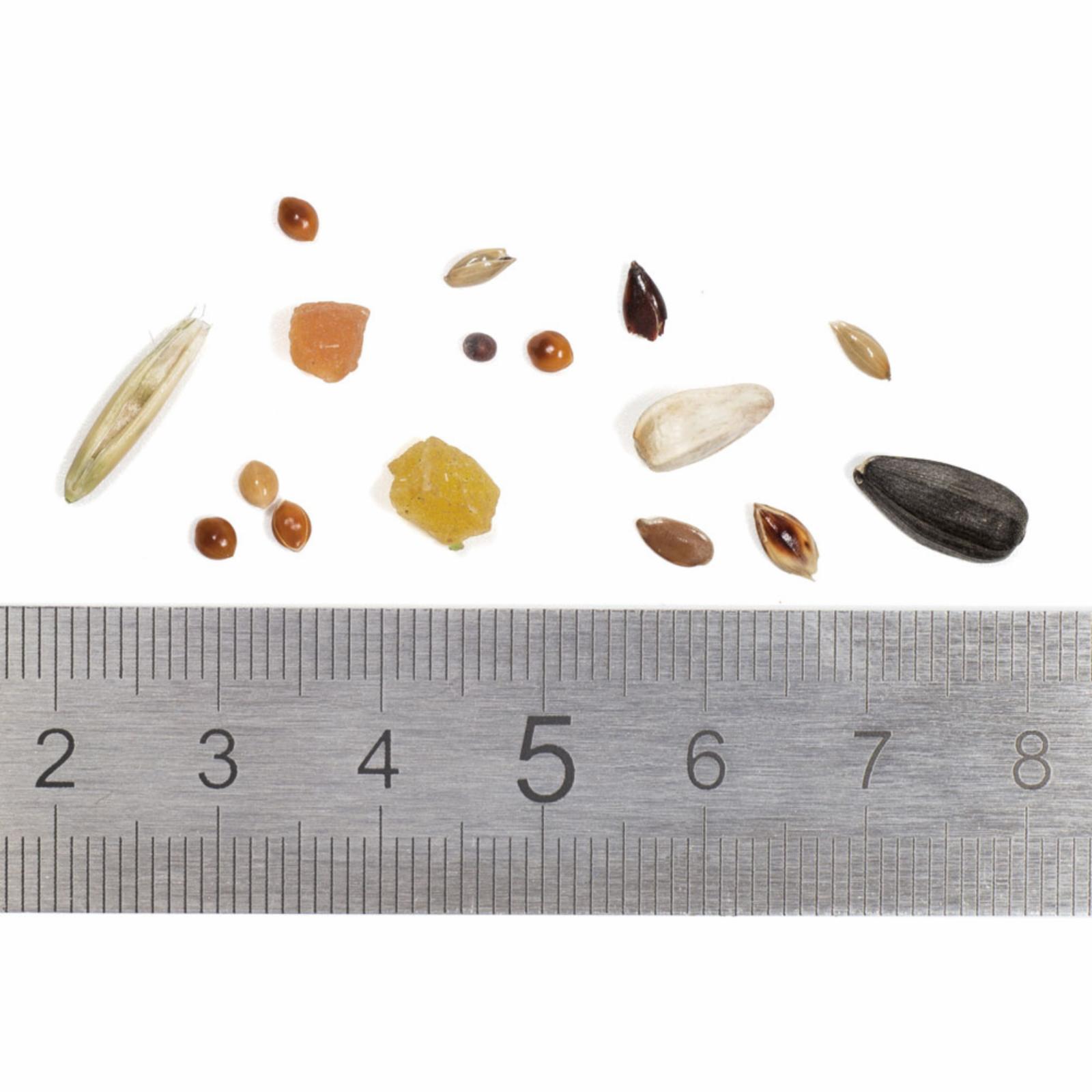 Pets Cafe Корм полнорационный для волнистых попугаев 77014 0,400 кг 60461