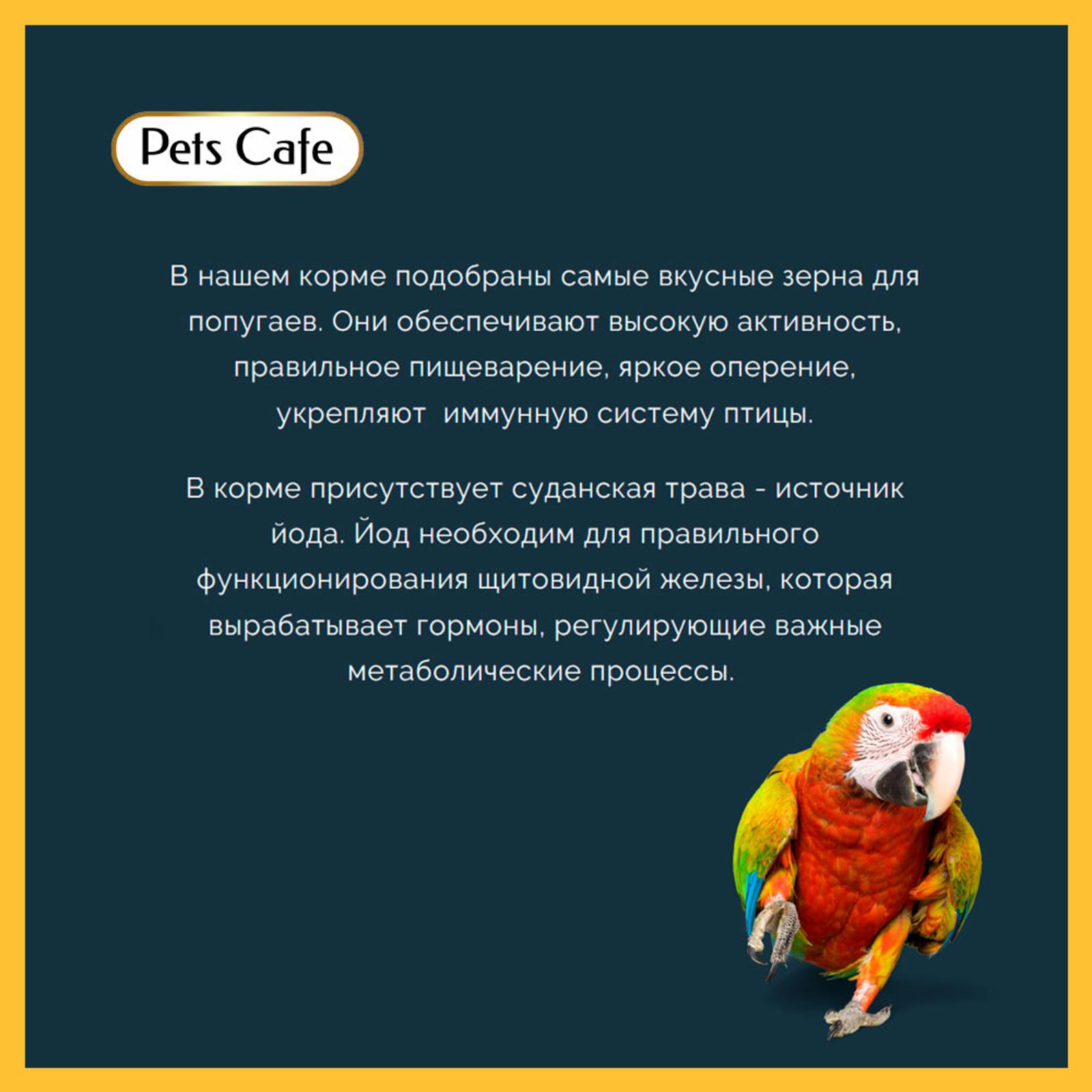 Pets Cafe Корм полнорационный для волнистых попугаев 77014 0,400 кг 60461