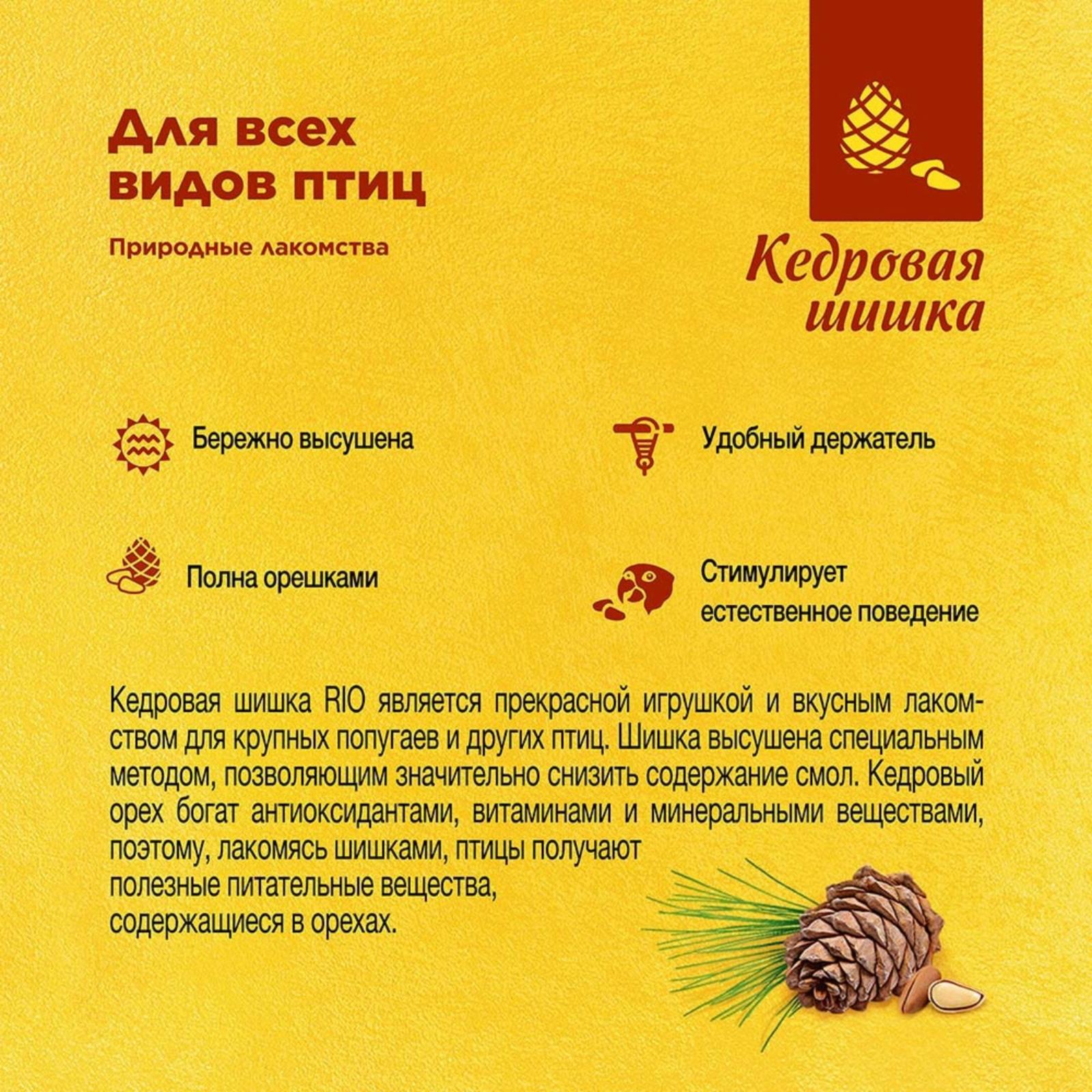 Рио Лакомство-игрушка Кедровая шишка для крупных и средних попугаев 0.050 кг 40051