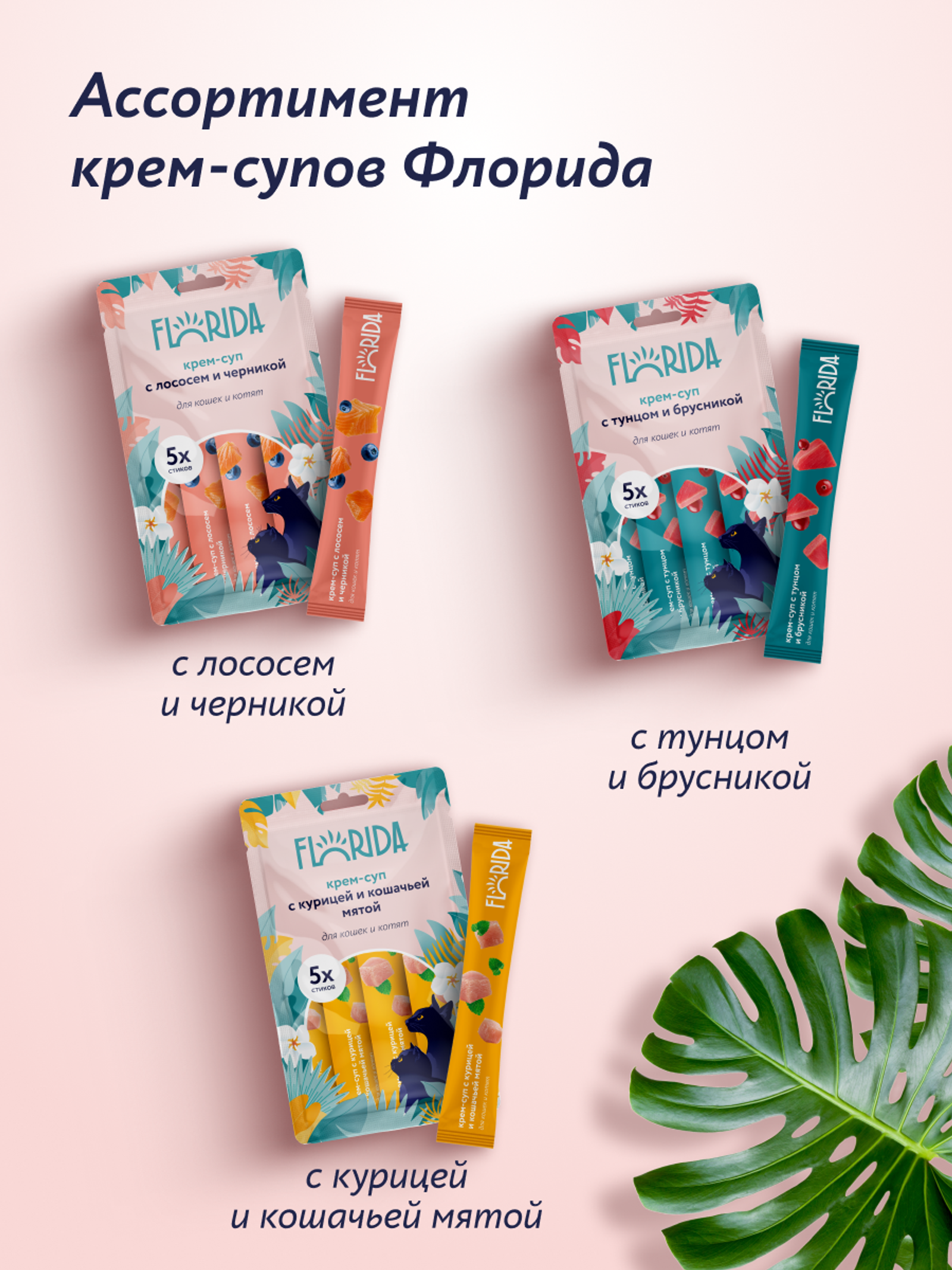 FLORIDA лакомства Крем-суп для котят и кошек с тунцом и брусникой 22ку22 0.075 кг 67758