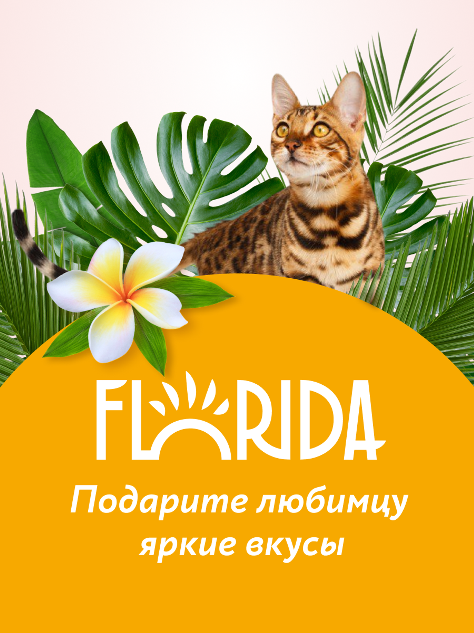 FLORIDA лакомства Крем-суп для котят и кошек с тунцом и брусникой 22ку22 0.075 кг 67758