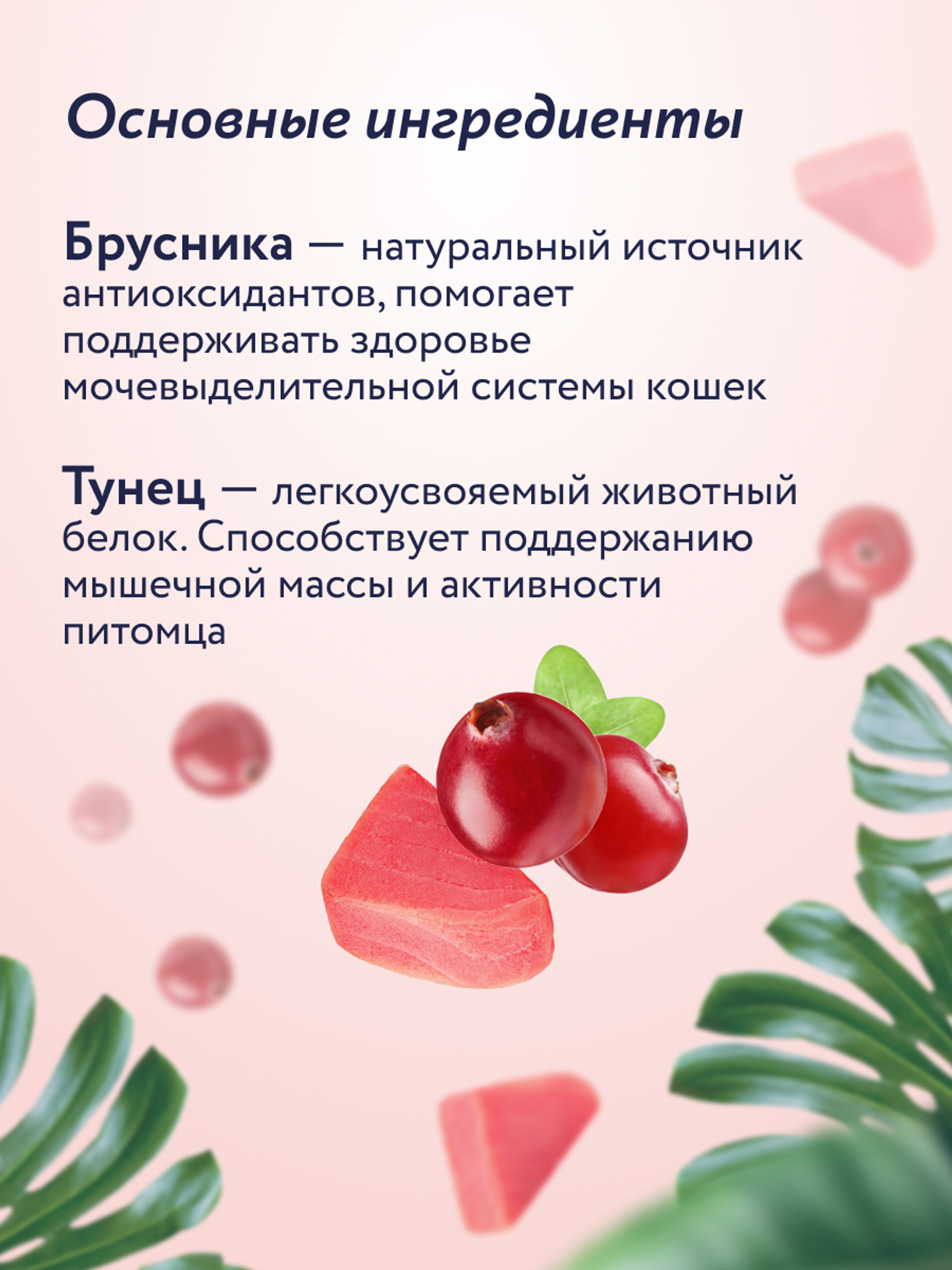 FLORIDA лакомства Крем-суп для котят и кошек с тунцом и брусникой 22ку22 0.075 кг 67758