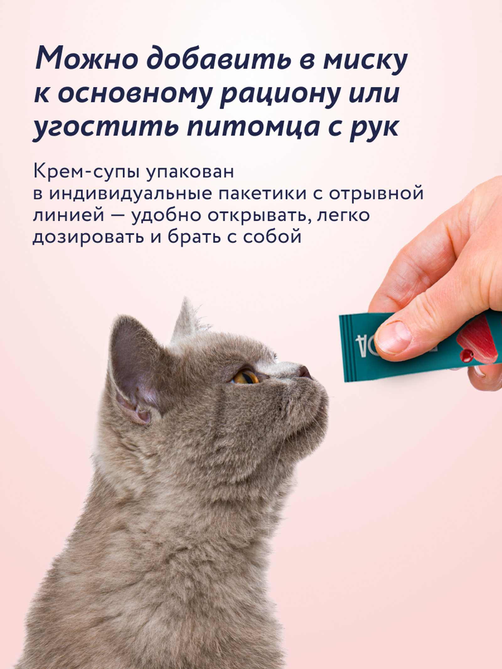 FLORIDA лакомства Крем-суп для котят и кошек с тунцом и брусникой 22ку22 0.075 кг 67758