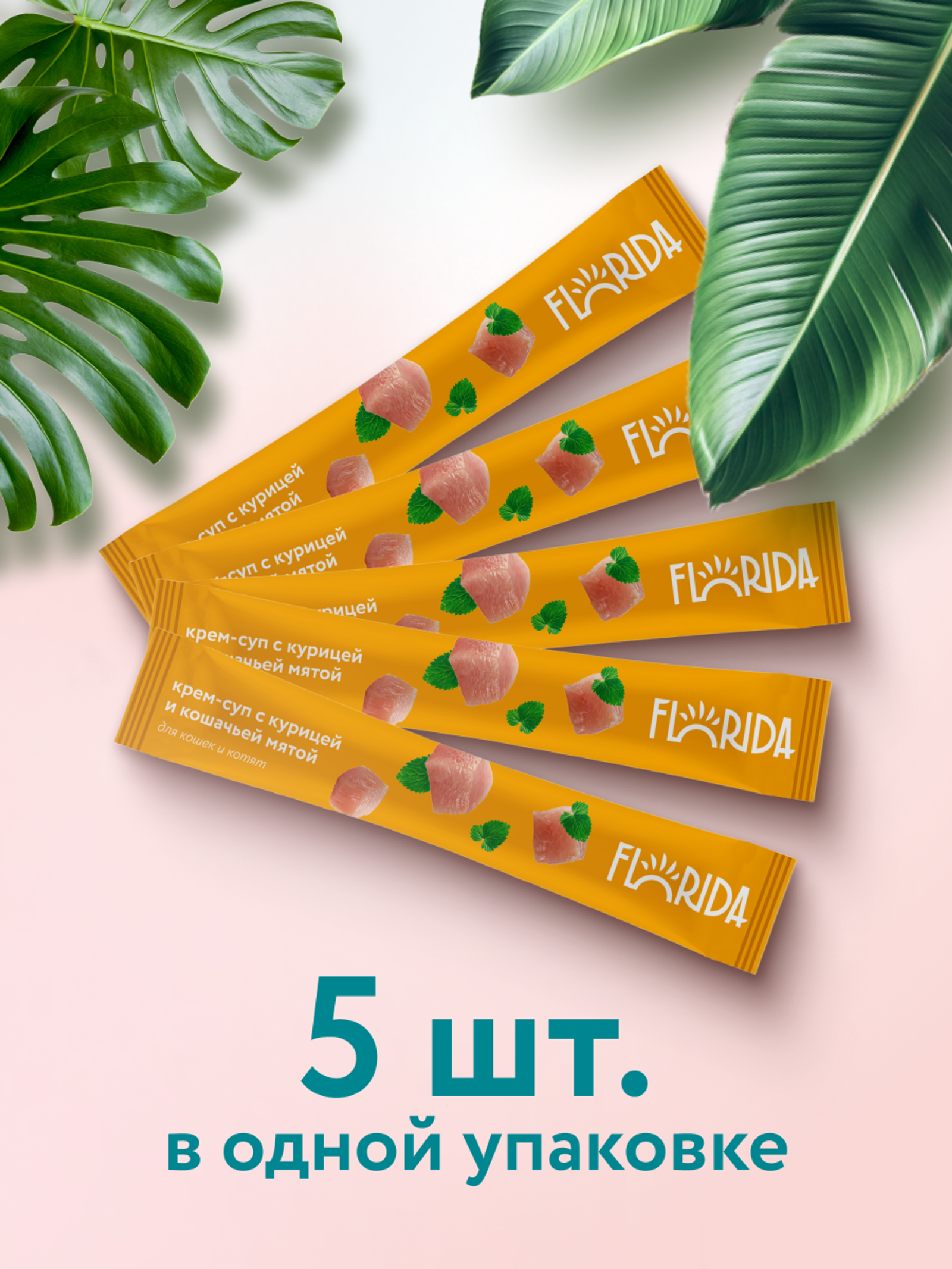 FLORIDA лакомства Крем-суп для котят и кошек с курицей и кошачьей мятой 22ку22 0.075 кг 67760
