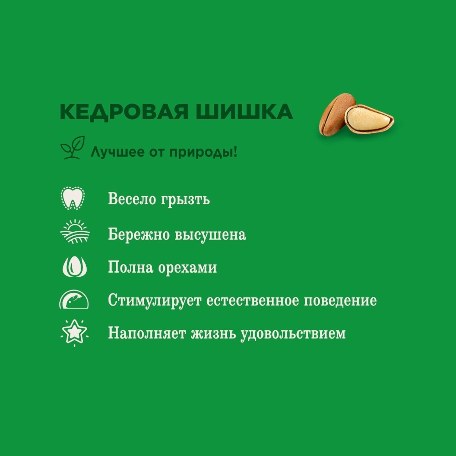 Little One Кедровая шишка - лакомство-игрушка для всех видов грызунов 0.050 кг 40081