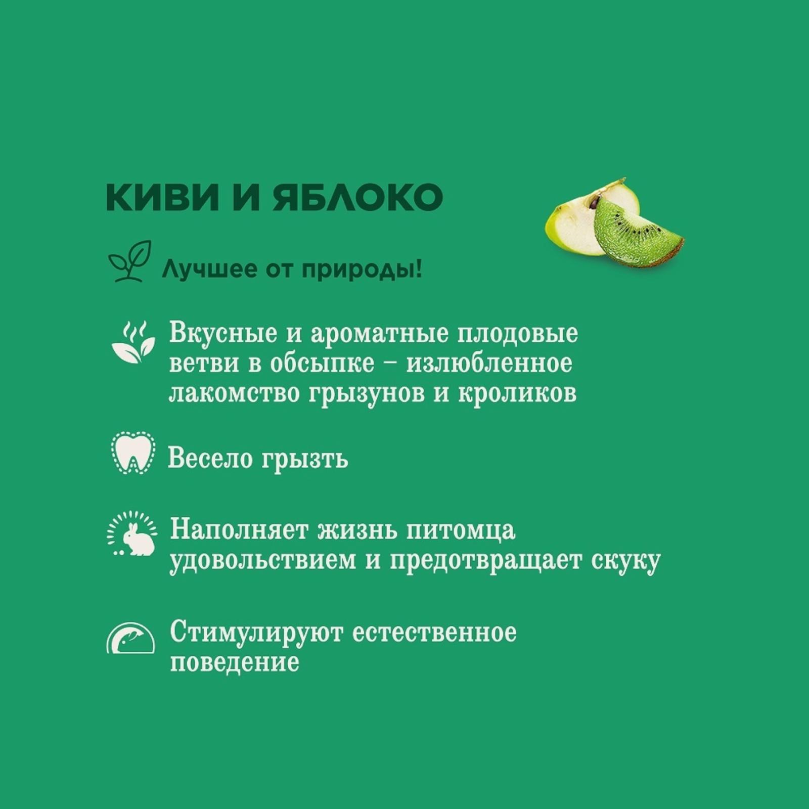 Little One Лакомые ветви c киви и яблоком для всех видов грызунов 0.035 кг 37274