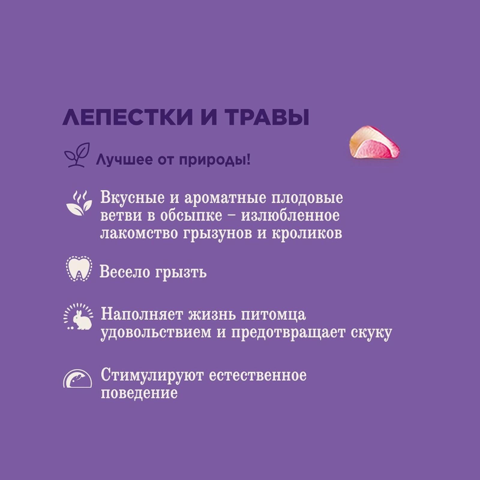 Little One Лакомые ветви c лепестками и травами для всех видов грызунов 0.035 кг 37276