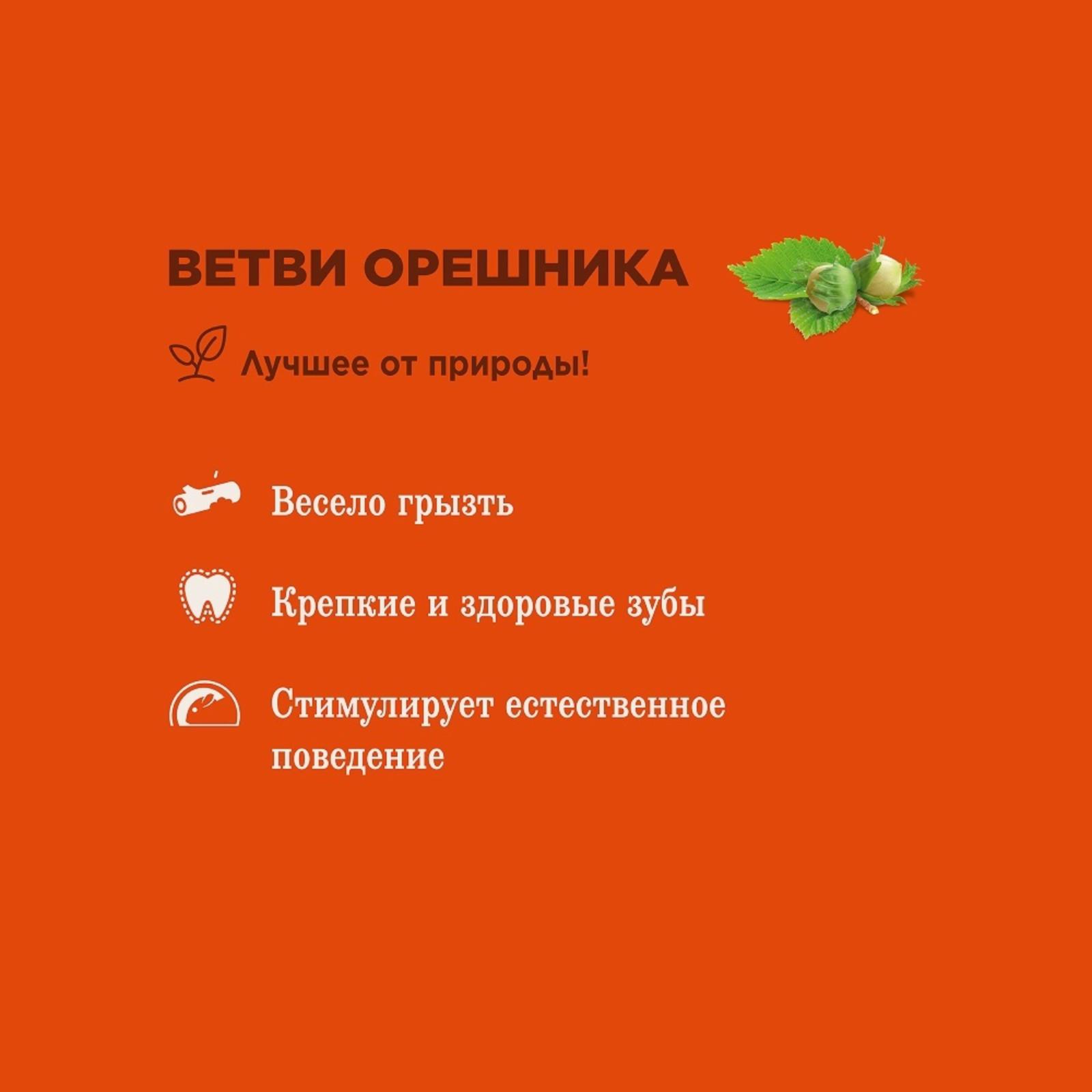 Little One Ветви орешника. Палочки для изгрызания для всех видов грызунов 7 шт 0.050 кг 37751