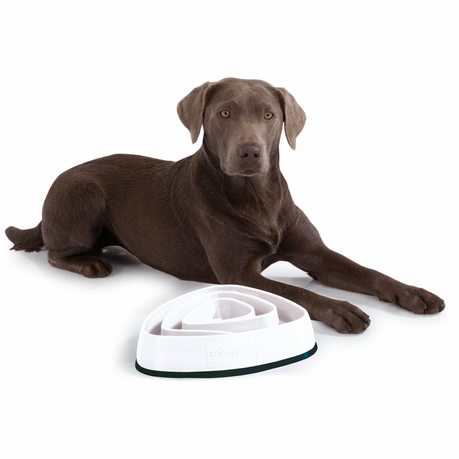 EduPet  Миска для собак для медленного кормления 21 см (Dog Bowl 21 cm) 06027AA 0,300 кг 10877