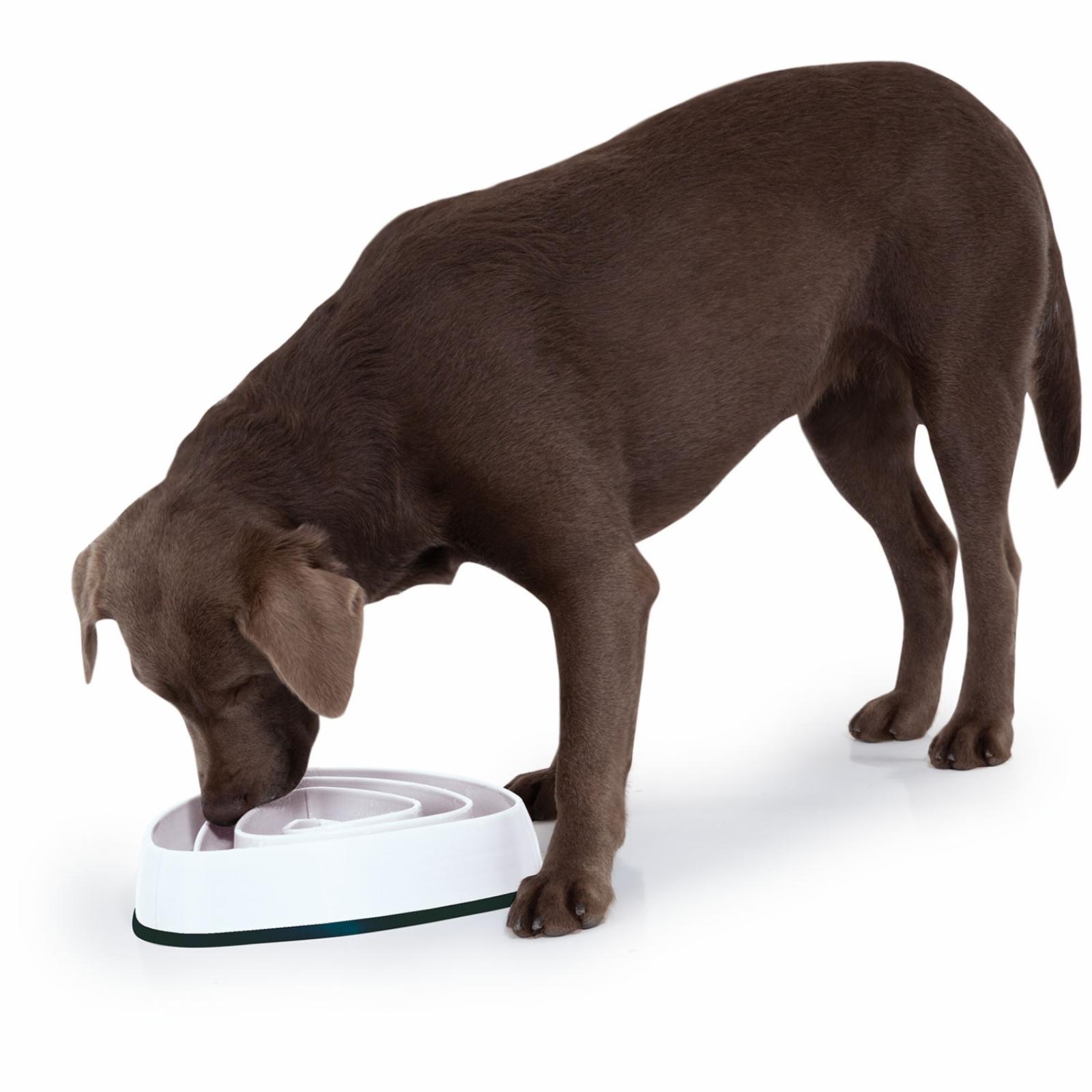 EduPet  Миска для собак для медленного кормления 28,5 см (Dog Bowl 28,5 cm) 06028AA 0,400 кг 10878