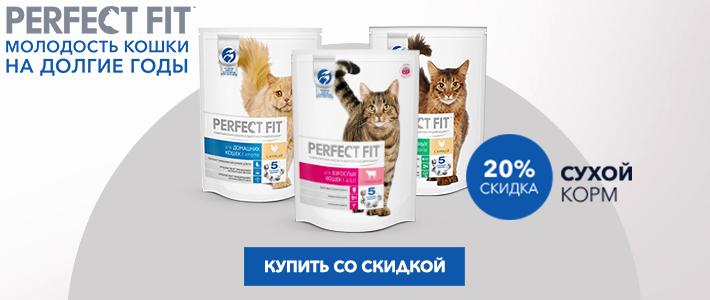 Perfect fit. Перфект для кошек сухой скидка 20%. Реклама корма Перфект фит. Реклама корма для кошек Перфект фит. Перфект фит логотип корм для кошек.