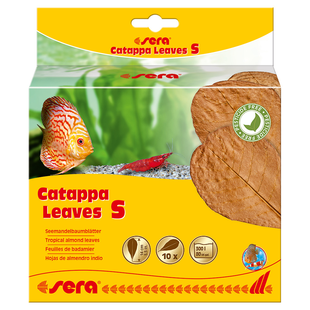 Сера Листья индийского миндаля Catappa Leaves S 14 см., S32273