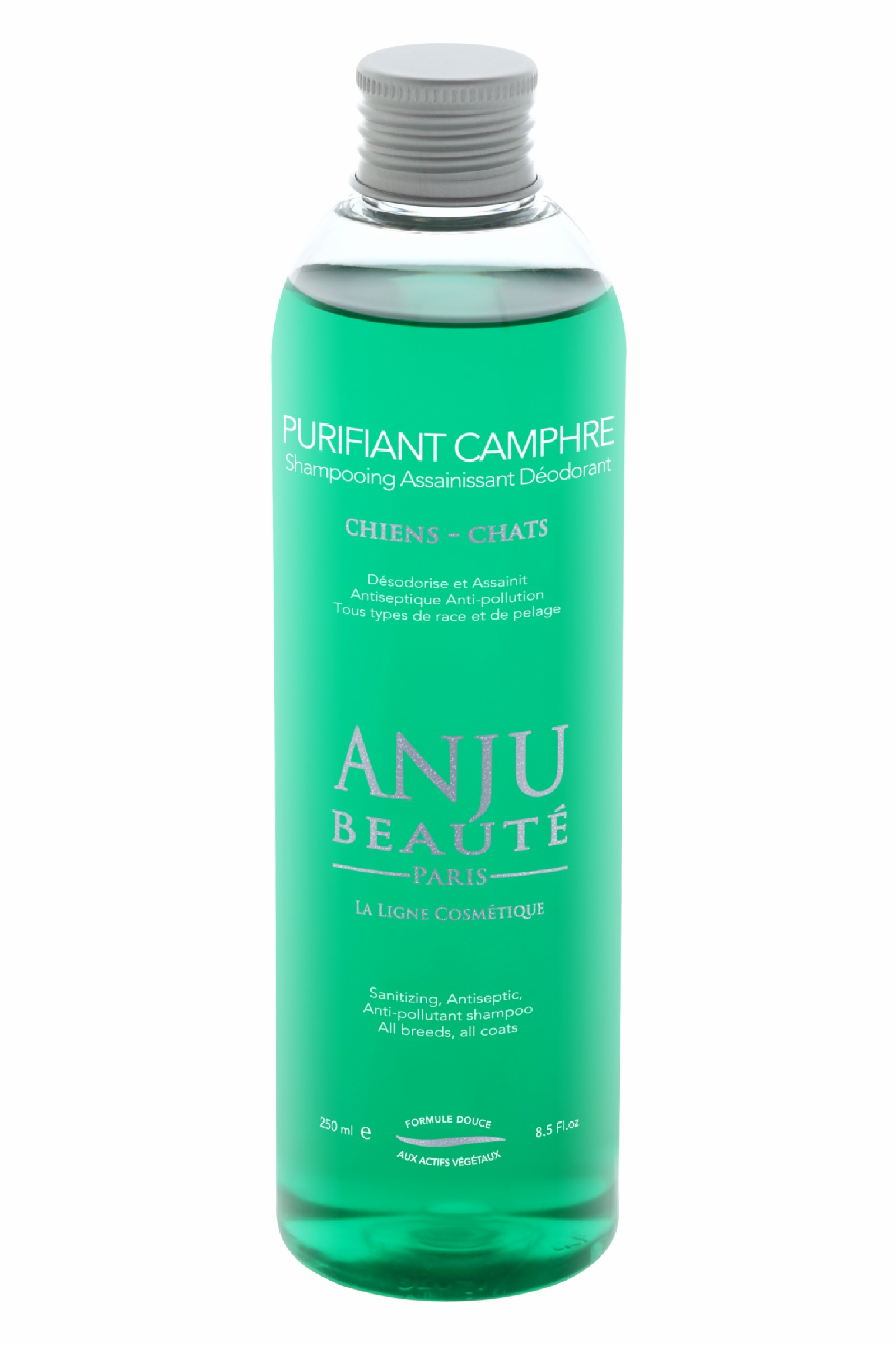 Anju Beaute Шампунь Очищающий и Антисептический: камфора и корень лопуха (Purifiant Camphre Shampooing) (AN704) AN704 0.260 кг 50333