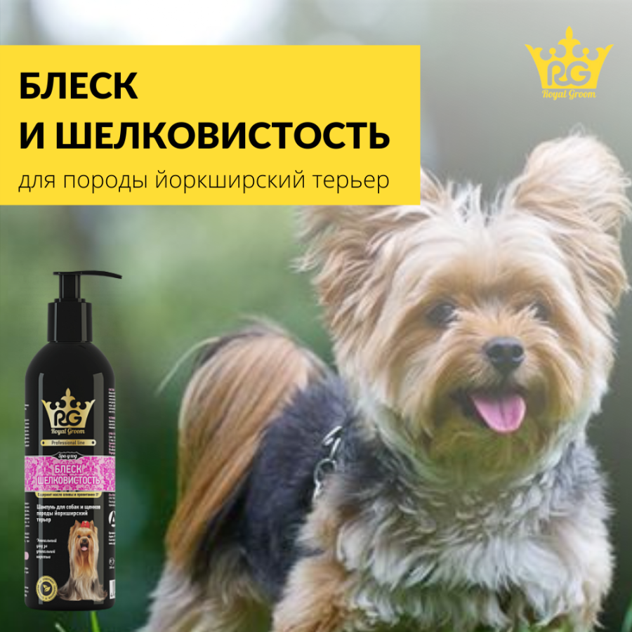 Apicenna Royal Groom шампунь блеск и шелковистость для собак и щенков породы йоркширский терьер 0.200 кг 35317