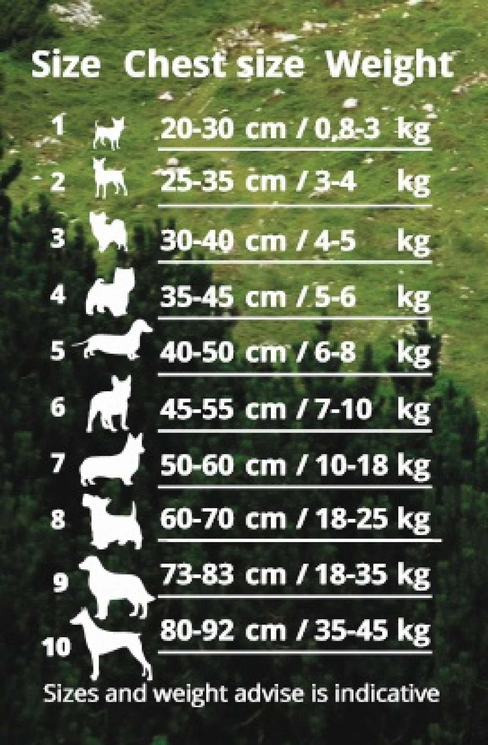 Cortina Мягкая шлейка Супер Комфорт оранжевый (обхват груди 30-40 см4-5 кг)  (Harness CINQUETORRI ORANGE SZ3) C100OR030 0.060 кг 48326