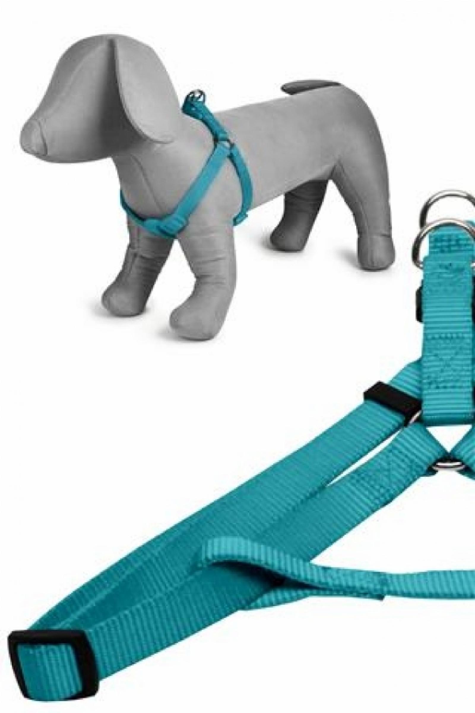 Papillon Нейлоновая шлейка 20мм-46-75см бирюзовый (Nylon harness 20 mm x 46 - 75 cm colour turquoise) 170415 170415 170415 0.100 кг 18554.20