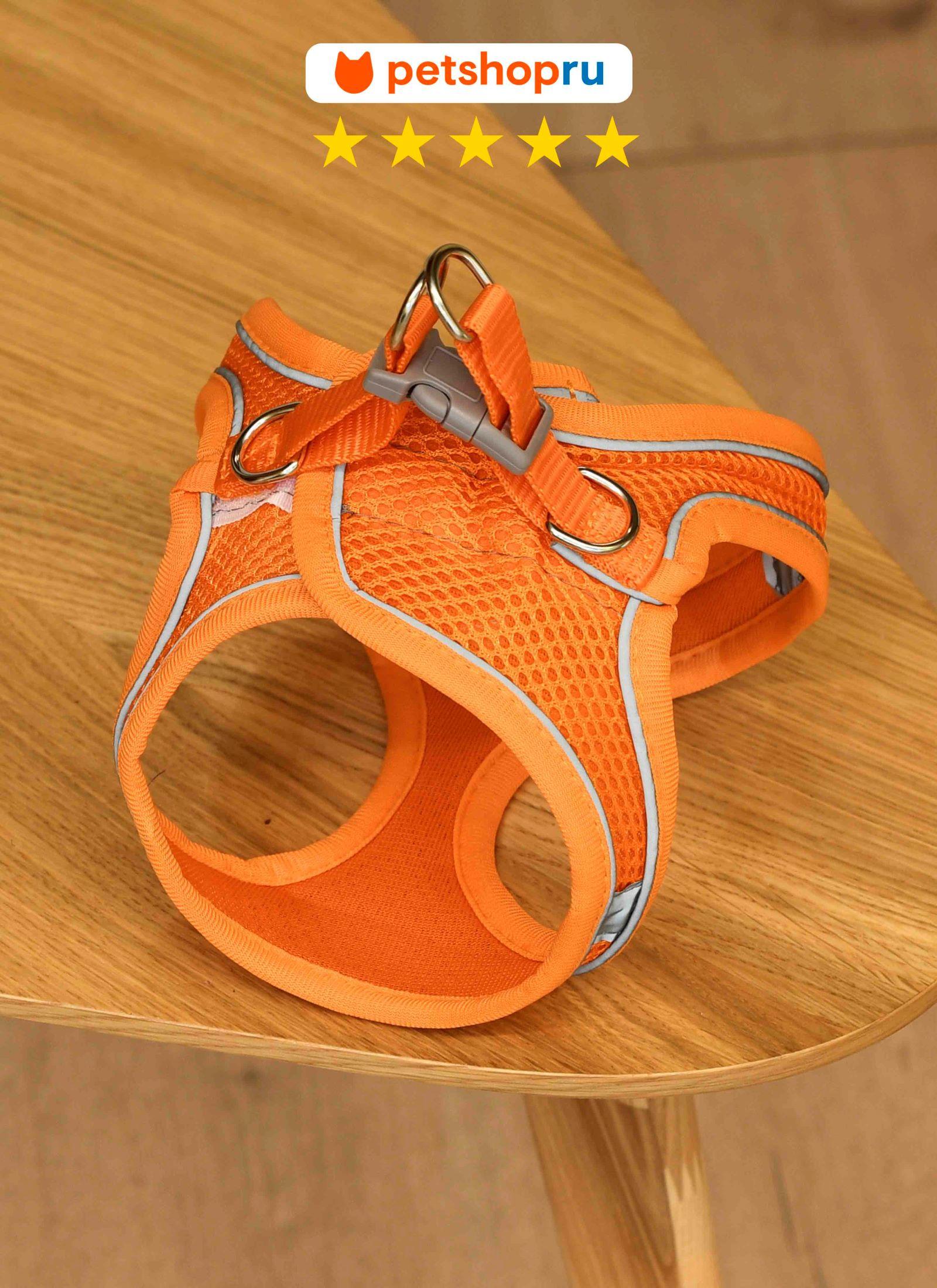 PETSHOP Шлейка для собак M цвет в ассортименте PS169 0.100 кг 67488