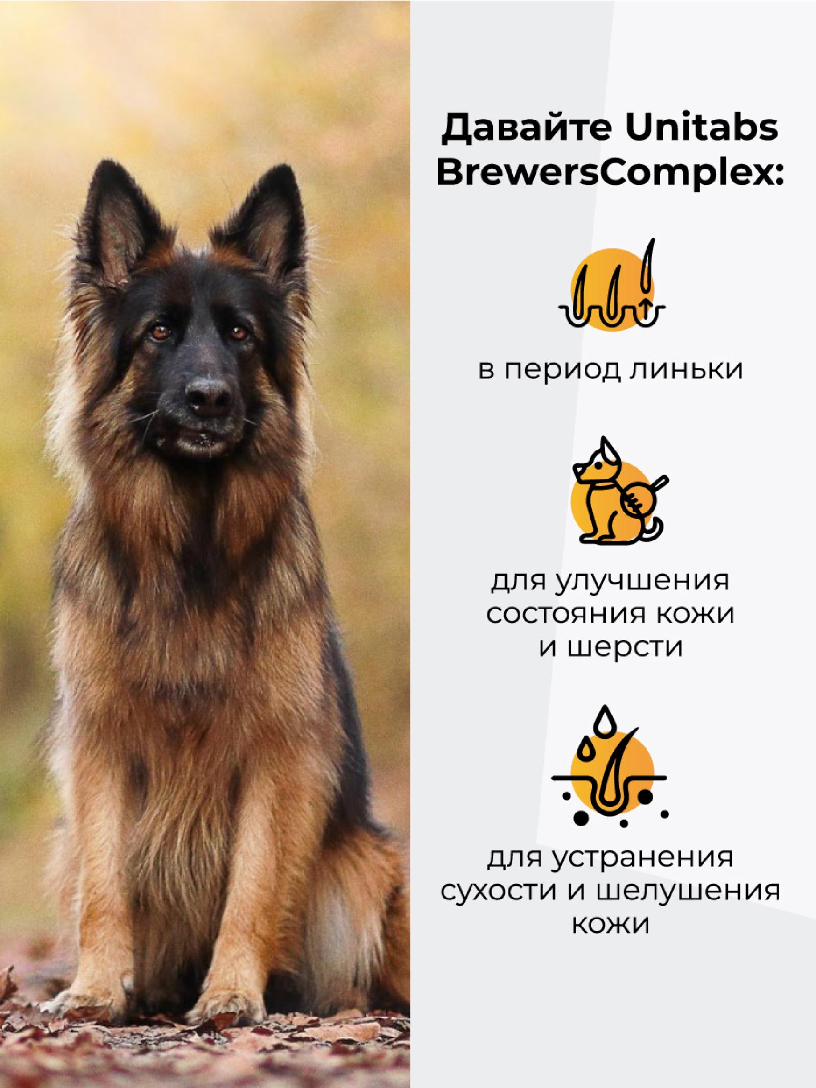 Unitabs Витамины BrewersComplex с Q10 для круп собак 200 таб. U2022 0.357 кг 60922