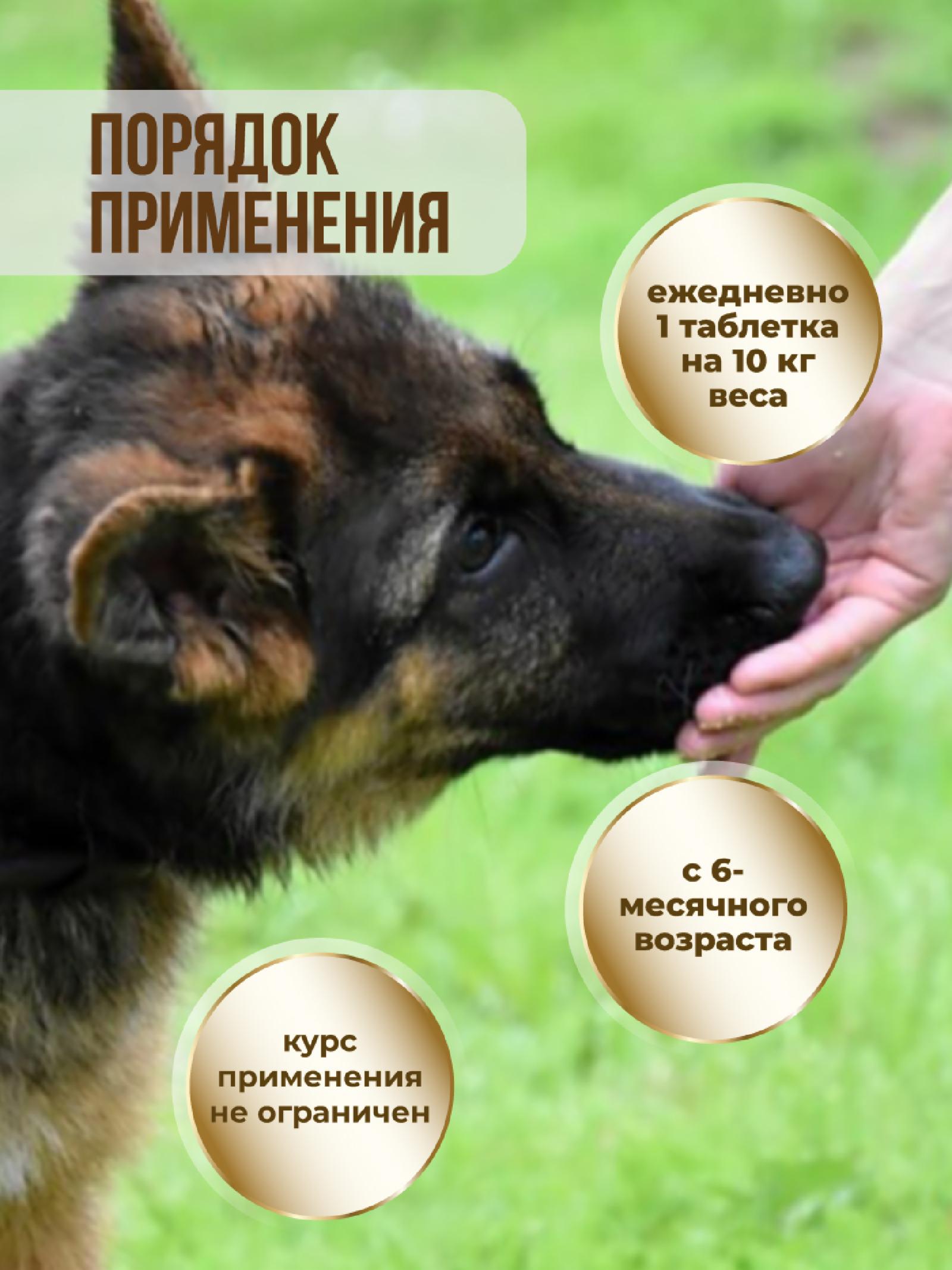 Unitabs Витамины BrewersComplex с Q10 для круп собак 200 таб. U2022 0.357 кг 60922