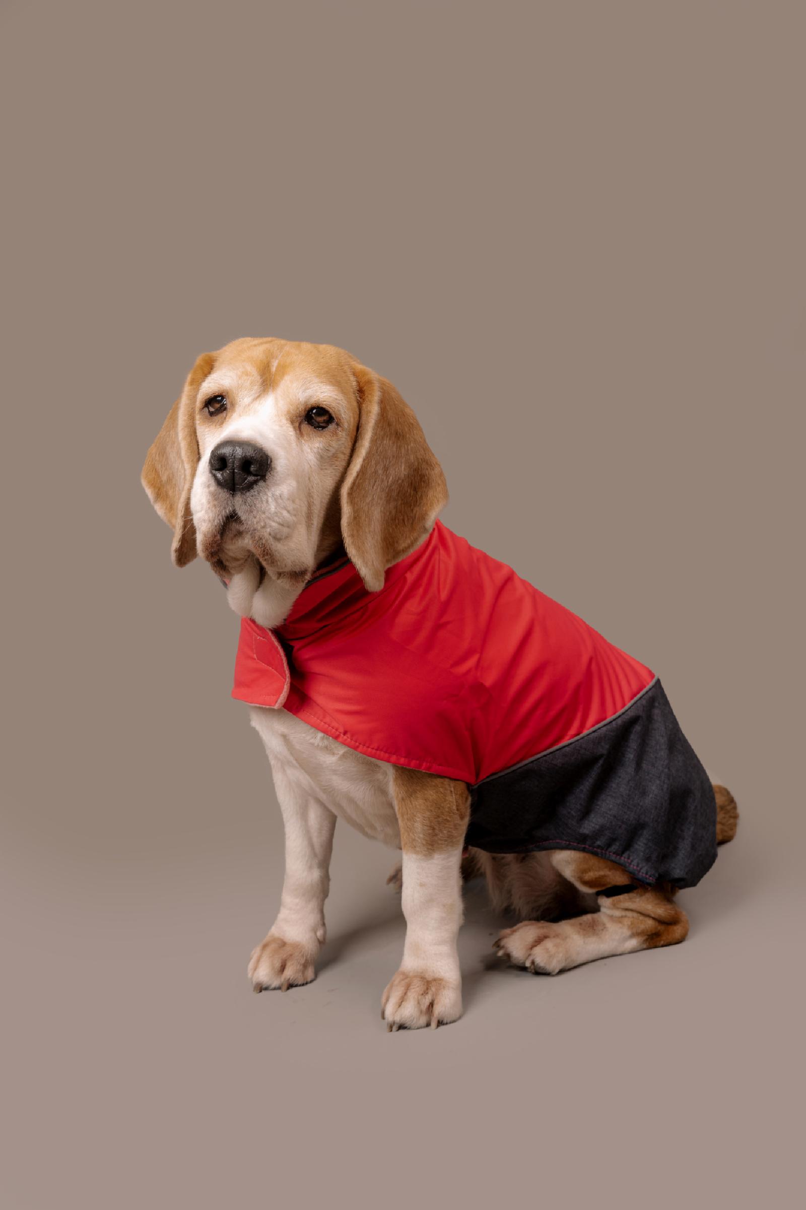 Tappi одежда Попона Блант для собак розовая размер 3XL спинка 50 см лд22ос 0.159 кг 51151