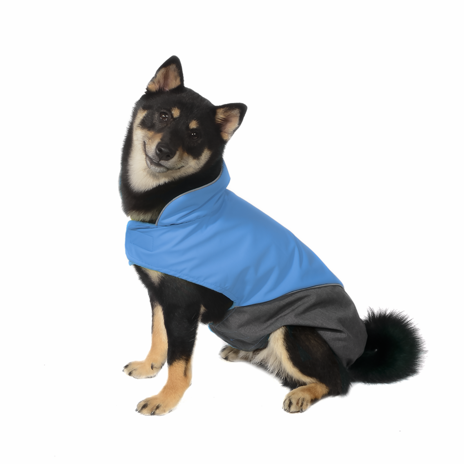 Tappi одежда Попона Блант для собак голубая размер XL спинка 42 см лд22ос 0.122 кг 51155